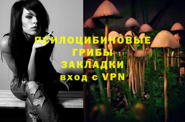 бошки Пролетарск