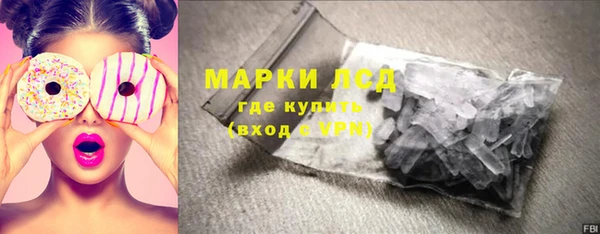 ешки Аркадак